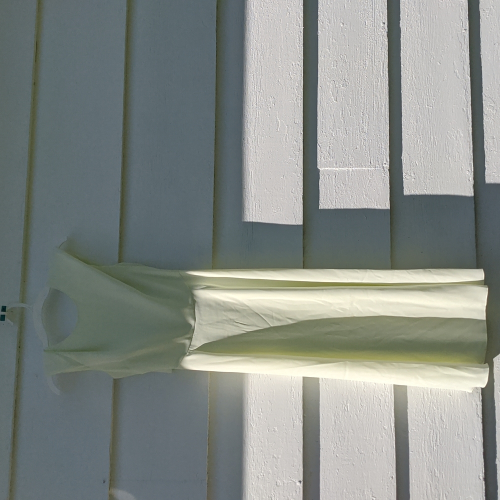 Aritzia Babaton Hamptons dress